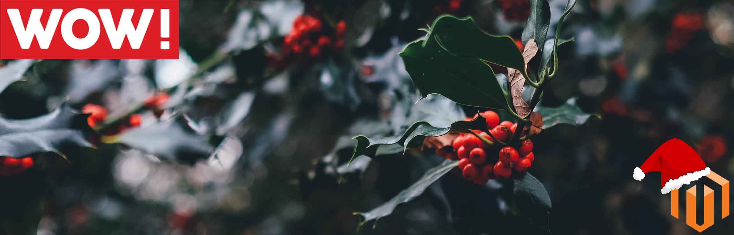 4 ways to make your site Christmas proof