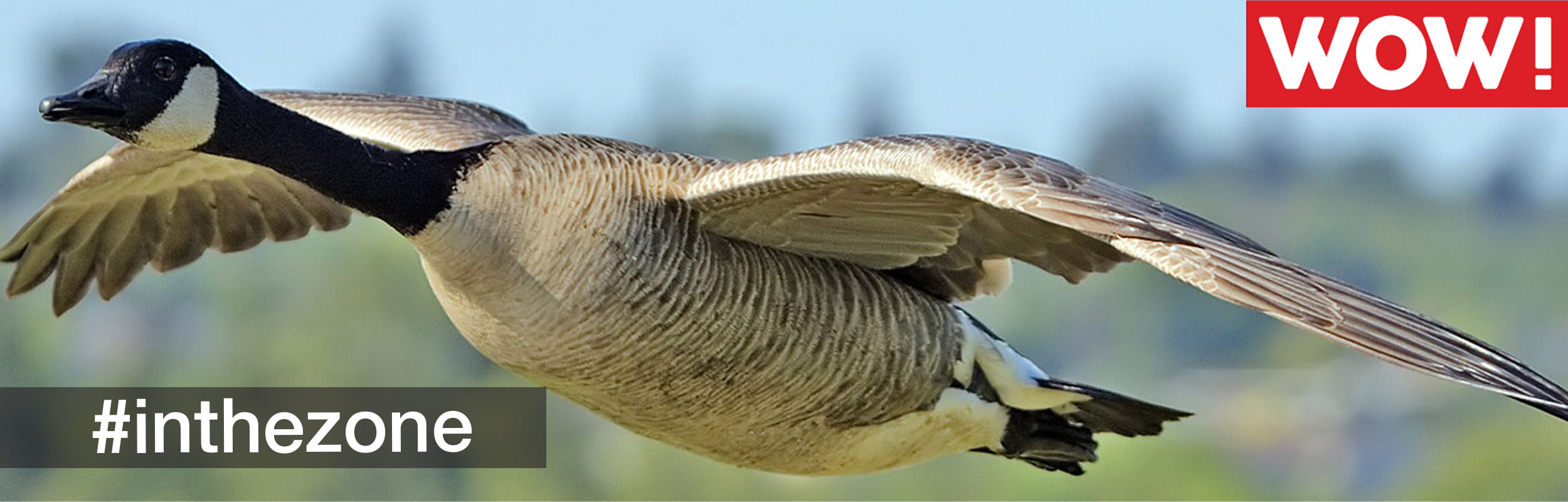 #inthezone 27: The whole is greater than the sum of its parts