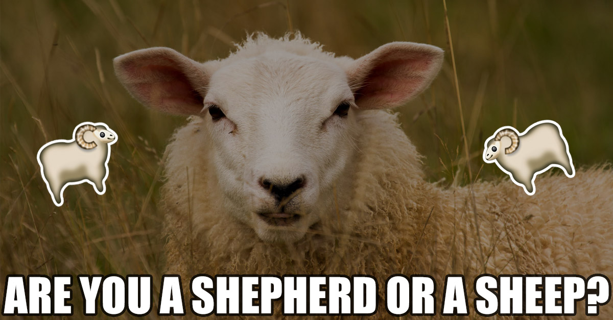 Are you a Shepherd or a Sheep?